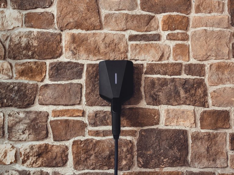 Hände halten eine kleine Weltkugel mit einem Baum, der "CO2" darüber steht.