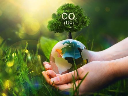 Hände halten eine kleine Weltkugel mit einem Baum, der "CO2" darüber steht.